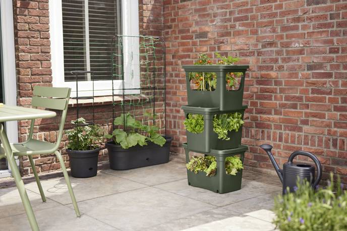 green basics stack & grow large leaf green